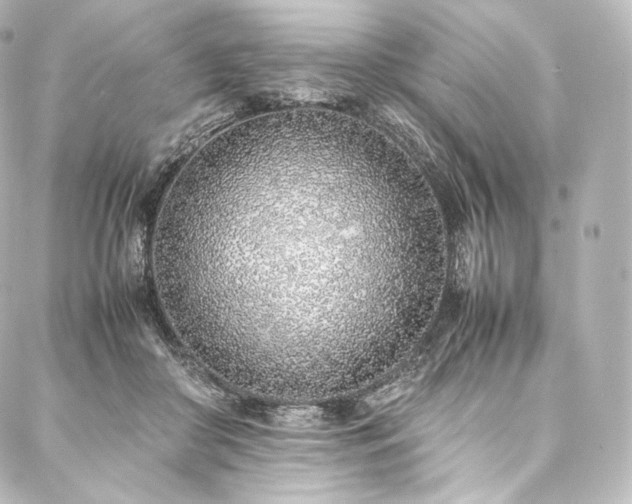 X0000088150410200705141553