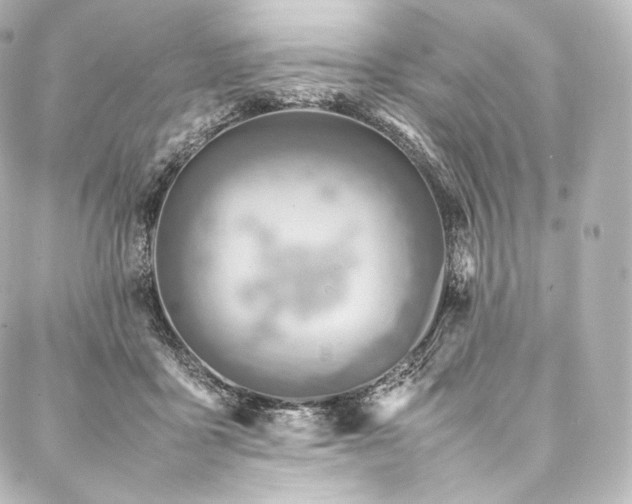 X0000088150411200705141553