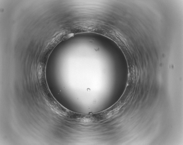 X0000088150412200705141553