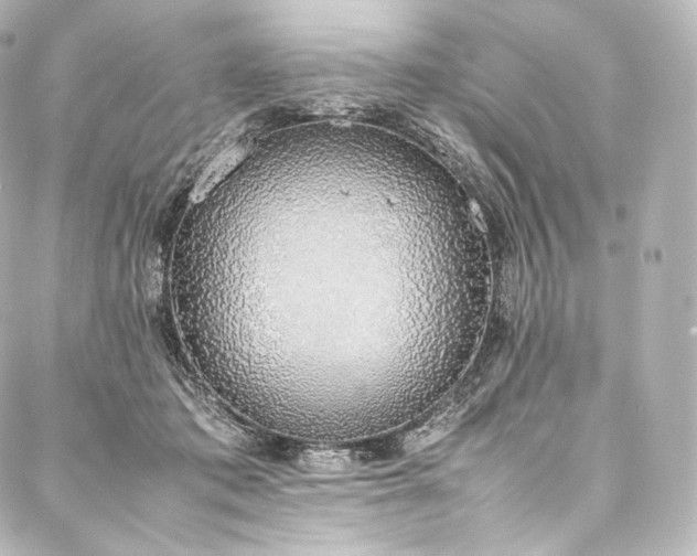 X0000088150413200705141553