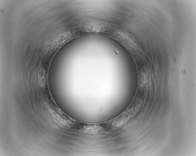 X0000088150414200705141553