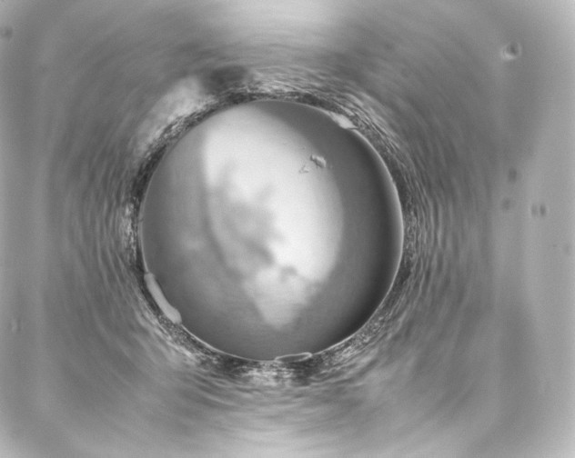 X0000088150415200705141553