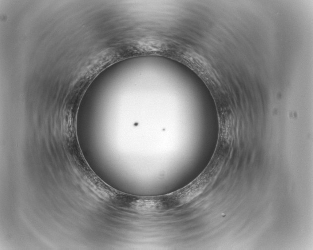 X0000088150418200705141553