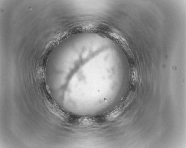 X0000088150419200705141553