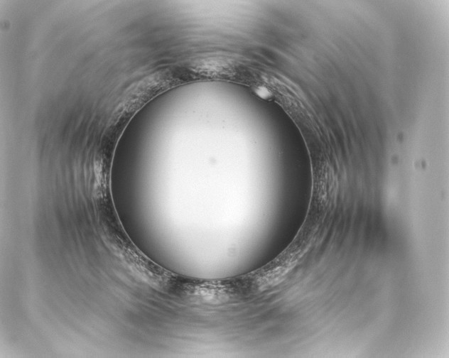 X0000088150420200705141553