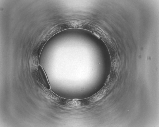 X0000088150421200705141553