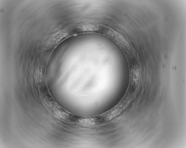 X0000088150422200705141553