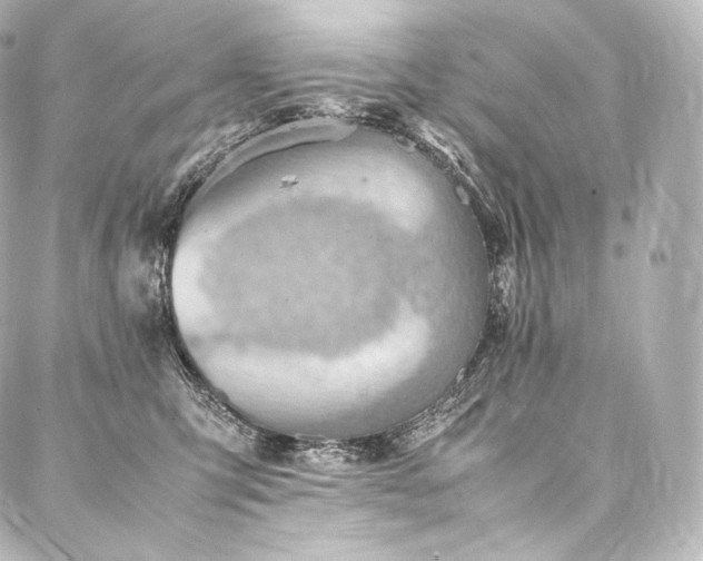 X0000088150423200705141553