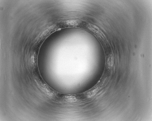 X0000088150424200705141553