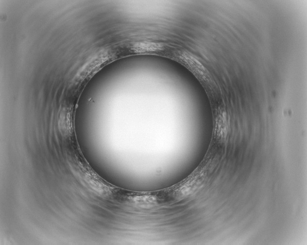 X0000088150426200705141553