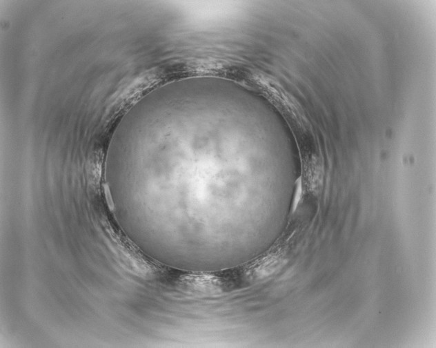 X0000088150427200705141553