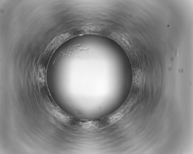 X0000088150430200705141553