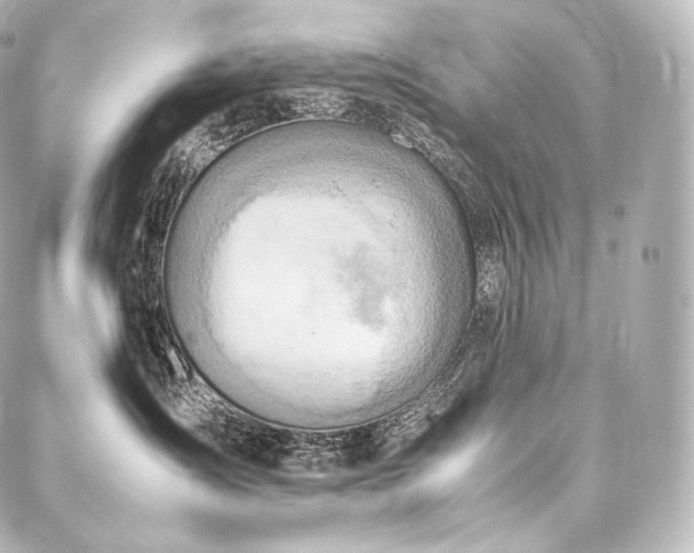 X0000088150431200705141553