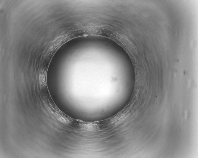 X0000088150432200705141553