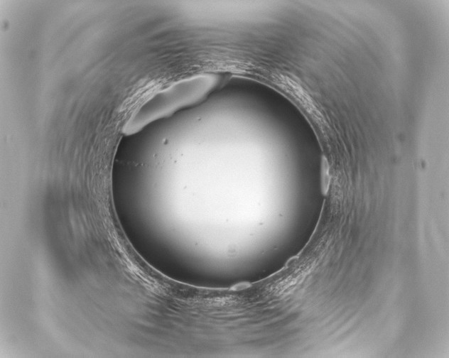 X0000088150433200705141552