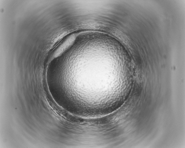 X0000088150434200705141552