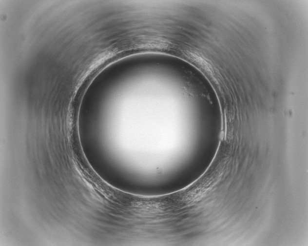 X0000088150435200705141552