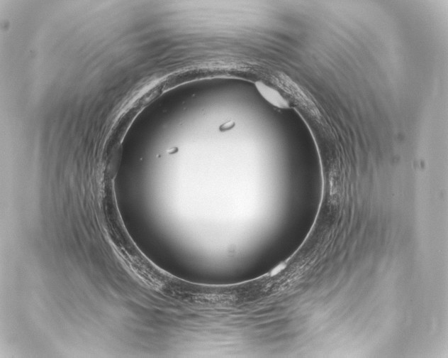 X0000088150436200705141552