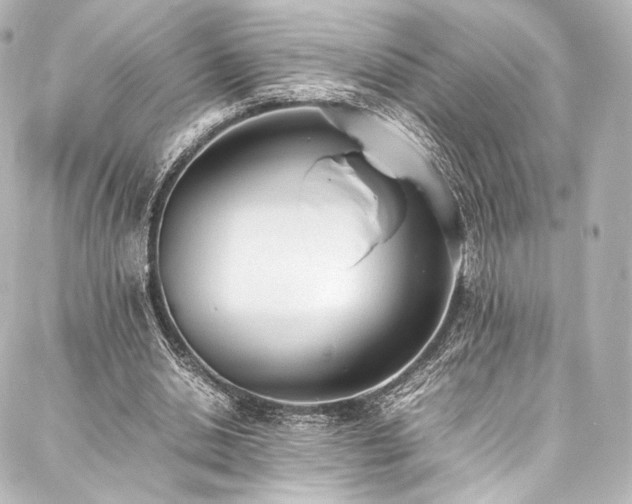 X0000088150438200705141552