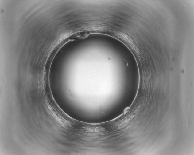 X0000088150439200705141552