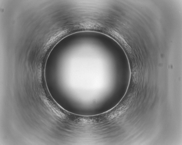 X0000088150442200705141552