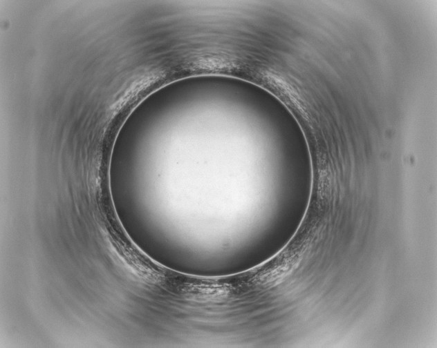 X0000088150443200705141552