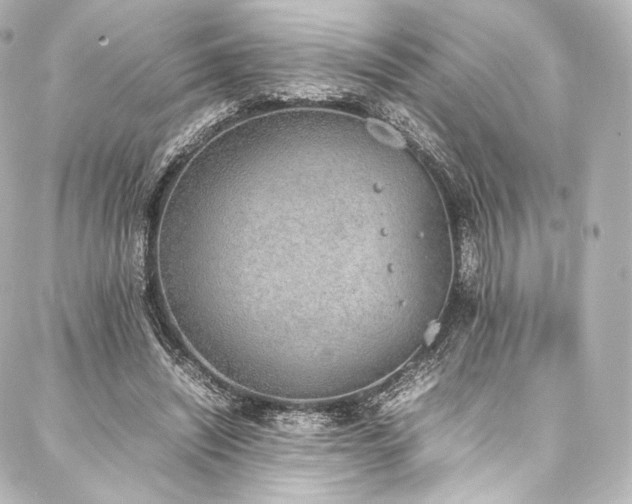 X0000088150444200705141552