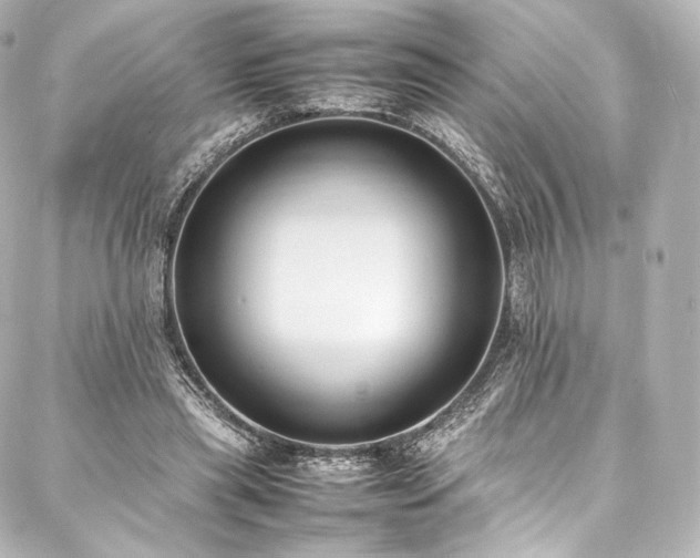 X0000088150445200705141552