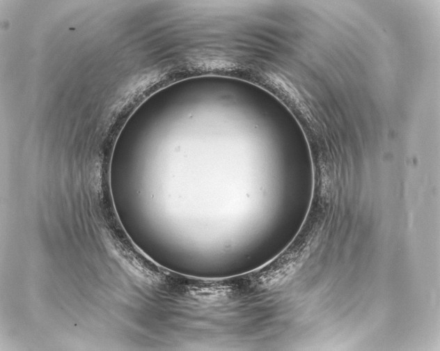 X0000088150447200705141552