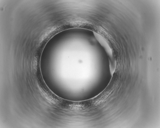 X0000088150448200705141552