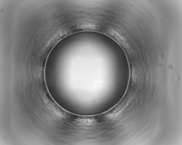 X0000088150449200705141552