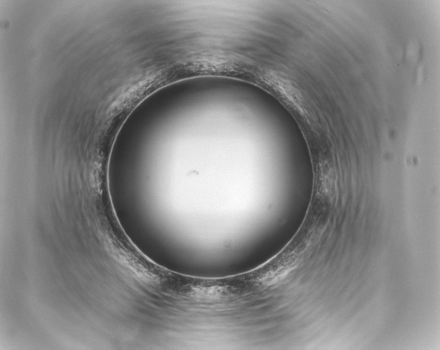 X0000088150450200705141553