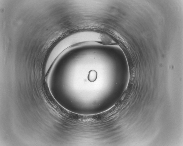 X0000088150452200705141553