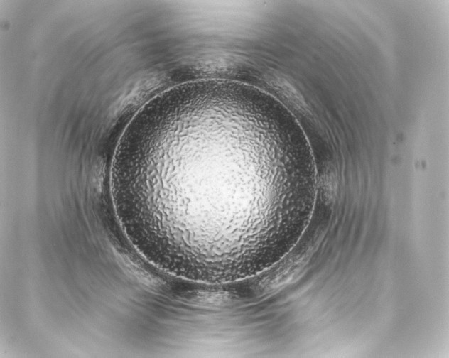 X0000088150458200705141553