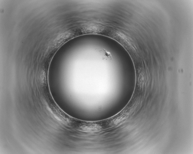 X0000088150459200705141553