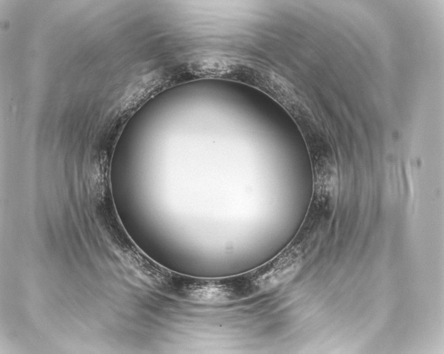 X0000088150460200705141553