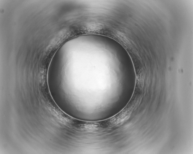 X0000088150462200705141553