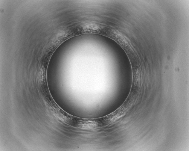 X0000088150463200705141553