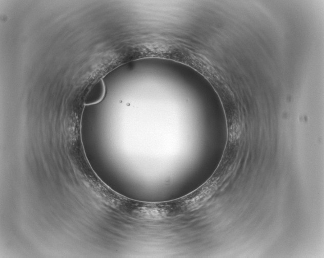 X0000088150464200705141553