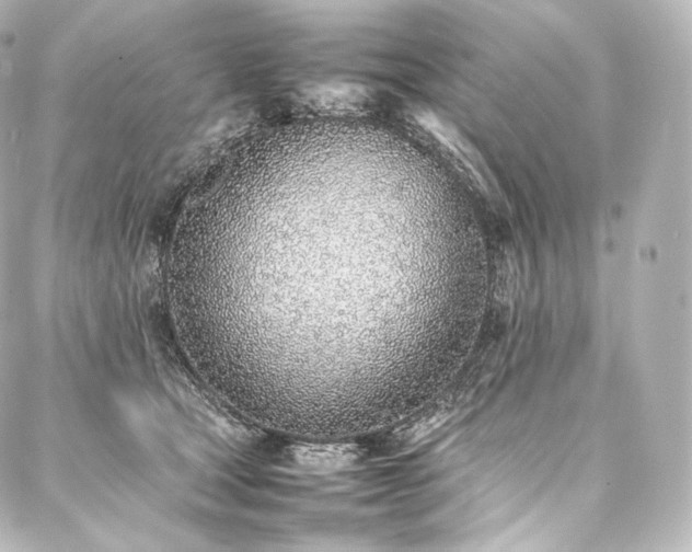 X0000088150465200705141553