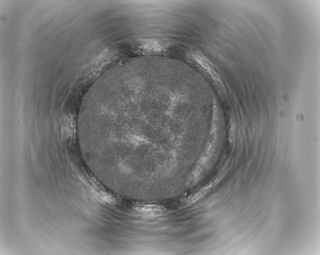 X0000088150467200705141553