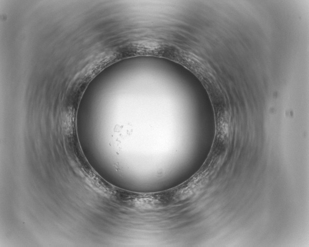 X0000088150468200705141553