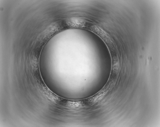 X0000088150469200705141553