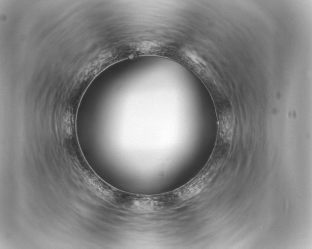 X0000088150470200705141553