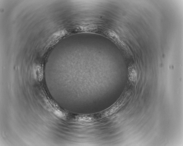 X0000088150471200705141553