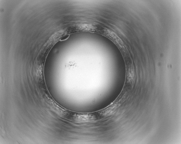 X0000088150473200705141553