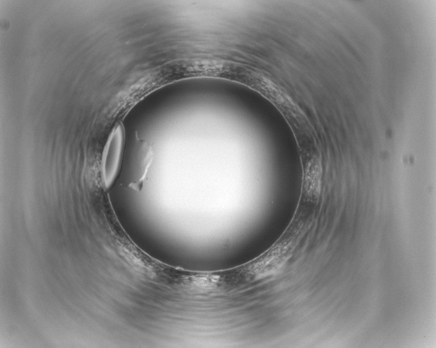 X0000088150474200705141553