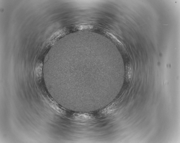 X0000088150475200705141553