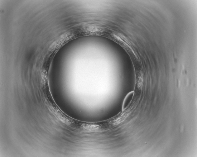 X0000088150476200705141553