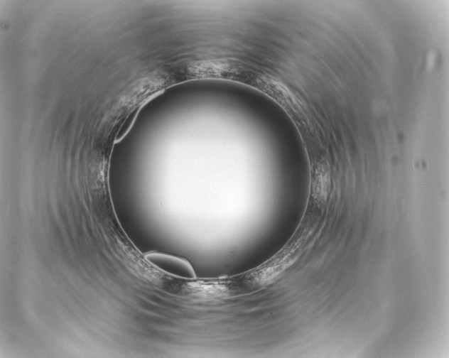 X0000088150477200705141553